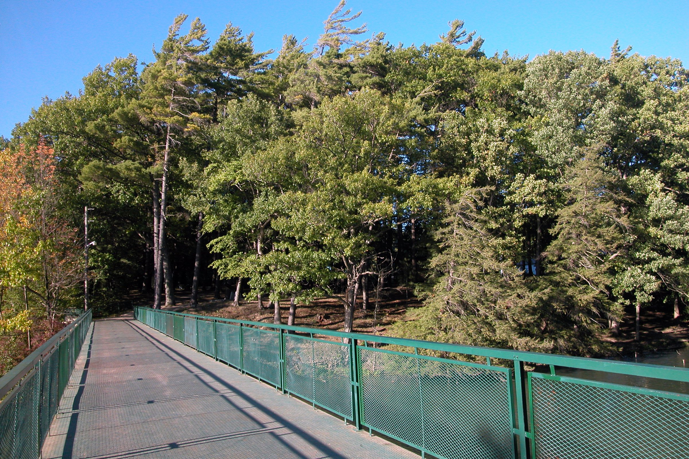 otterville foot bridge